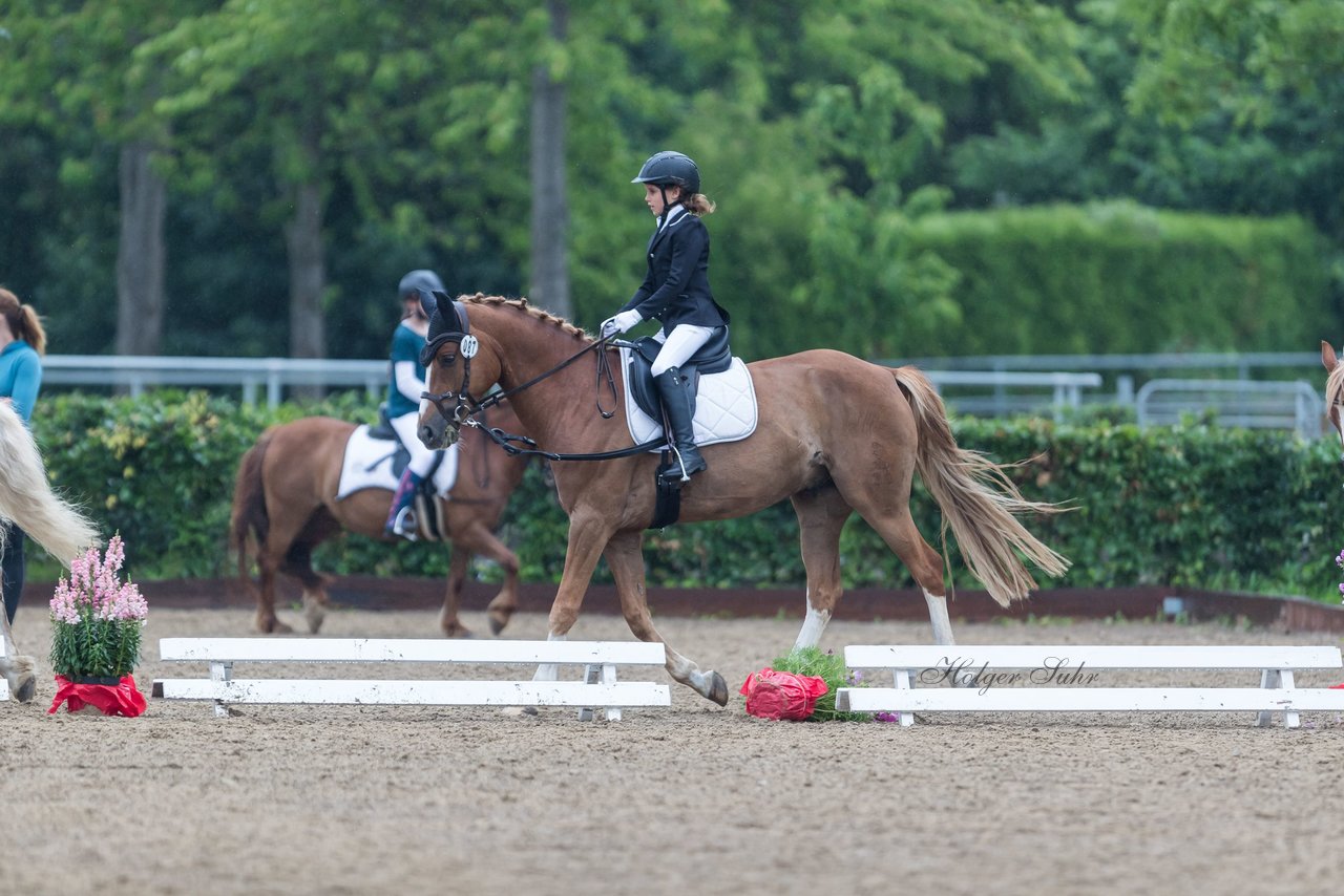 Bild 5 - Pony Akademie Turnier